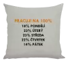 Polštář Pracuji na 100%