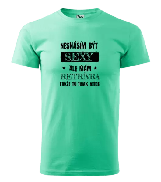 Pánské tričko Nesnáším být sexy, ale mám...