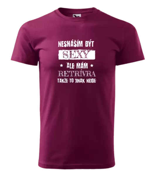 Pánské tričko Nesnáším být sexy, ale mám...