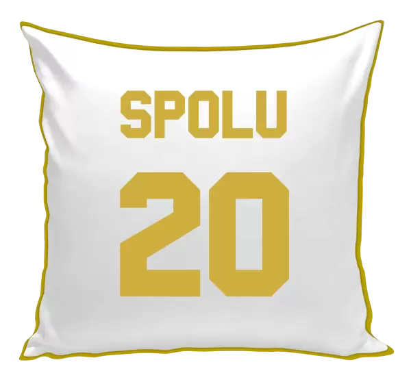 Polštář Spolu