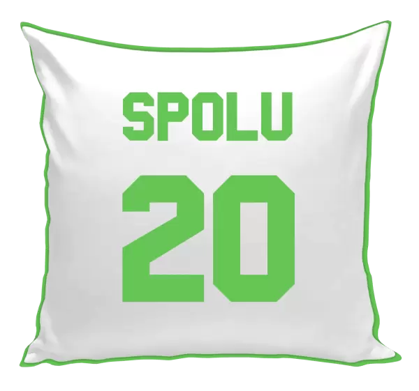 Polštář Spolu