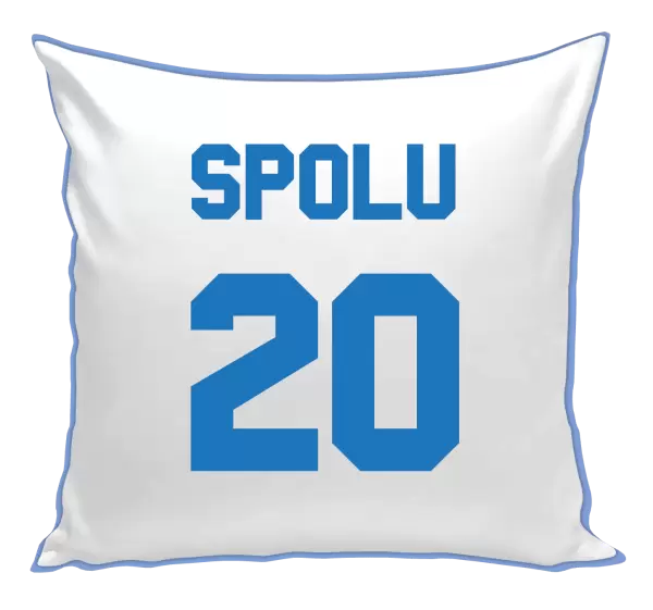 Polštář Spolu