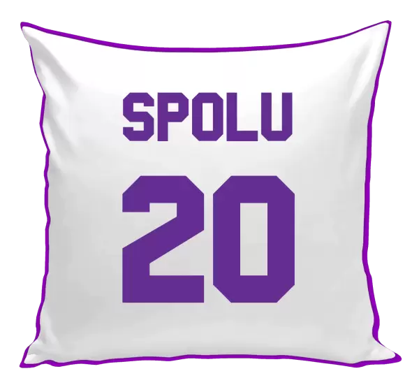 Polštář Spolu