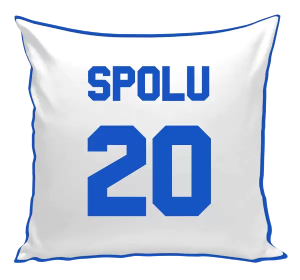 Polštář Spolu