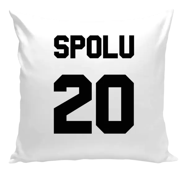 Polštář Spolu