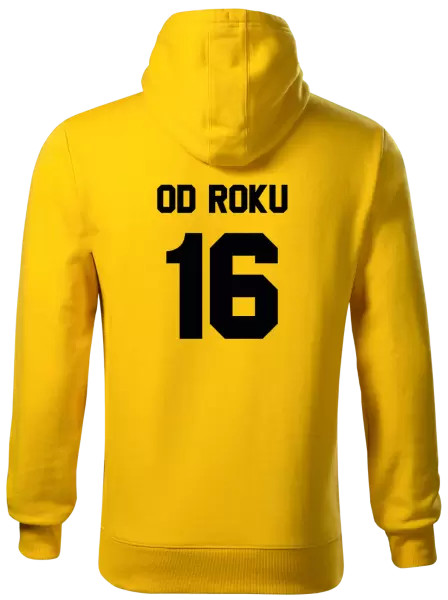 Pánská mikina Od roku