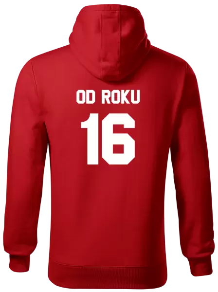 Pánská mikina Od roku