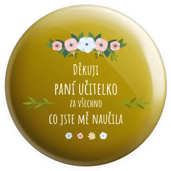 Placka Děkuji, paní učitelko, za všechno co jste mě naučila