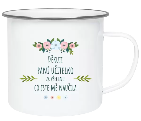 Plecháček Děkuji, paní učitelko, za všechno co jste mě naučila