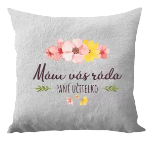 Polštář Mám vás ráda, paní učitelko