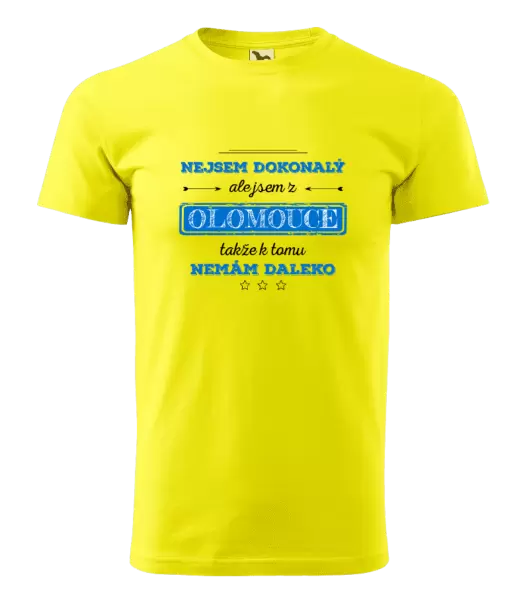 Pánské tričko Nejsem dokonalý, ale jsem z ...