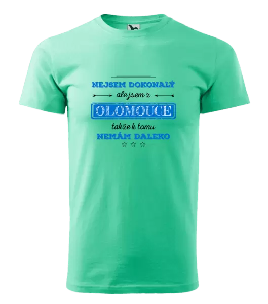 Pánské tričko Nejsem dokonalý, ale jsem z ...