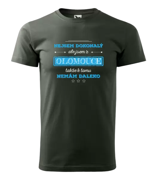 Pánské tričko Nejsem dokonalý, ale jsem z ...