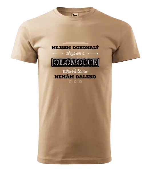 Pánské tričko Nejsem dokonalý, ale jsem z ...