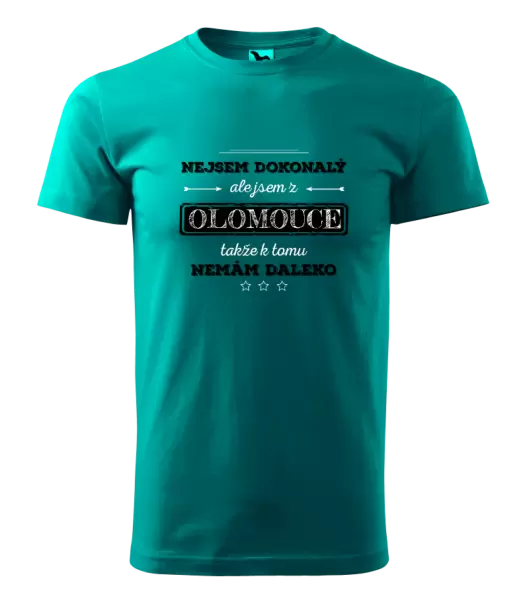 Pánské tričko Nejsem dokonalý, ale jsem z ...