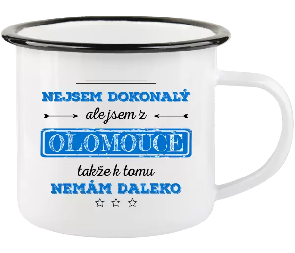 Plecháček Nejsem dokonalý, ale jsem z ...