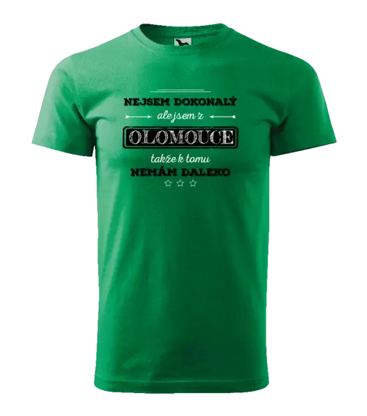Pánské tričko Nejsem dokonalý, ale jsem z ...