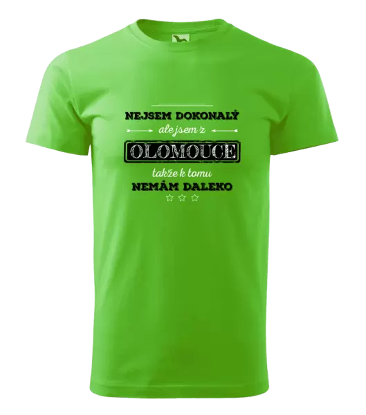 Pánské tričko Nejsem dokonalý, ale jsem z ...