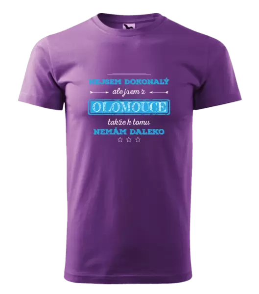 Pánské tričko Nejsem dokonalý, ale jsem z ...