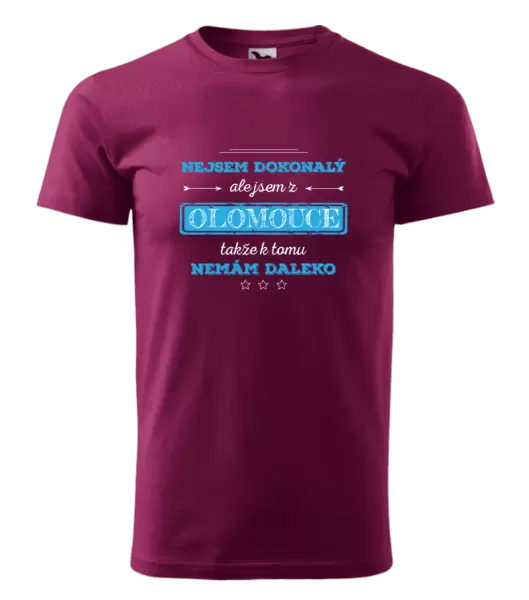 Pánské tričko Nejsem dokonalý, ale jsem z ...