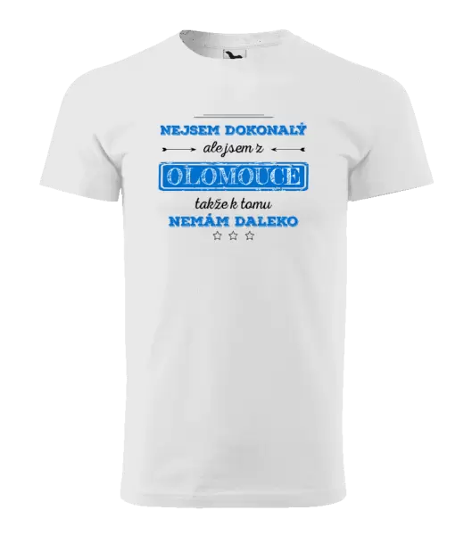 Pánské tričko Nejsem dokonalý, ale jsem z ...