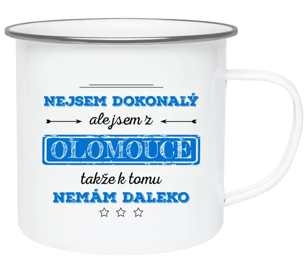 Plecháček Nejsem dokonalý, ale jsem z ...