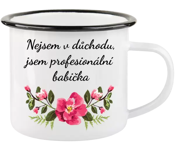 Plecháček Nejsem v důchodu, jsem profesionální babička