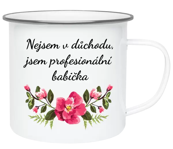 Plecháček Nejsem v důchodu, jsem profesionální babička