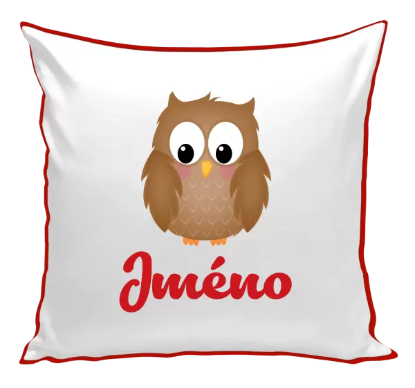 Polštář Sovička se jménem