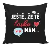 Polštář Ještě, že tě lásko mám