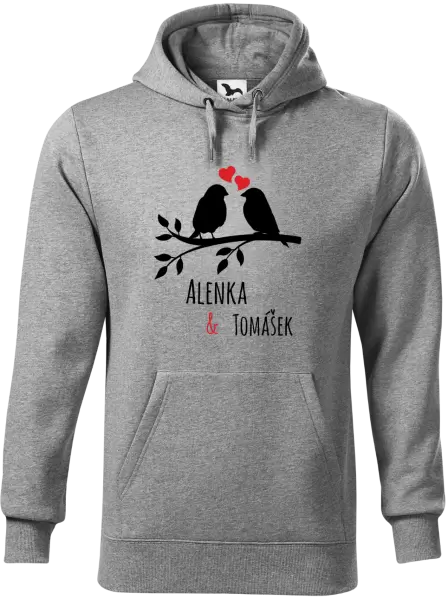 Pánská mikina Ptáčci na větvi - vlastní jména