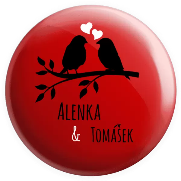 Placka Ptáčci na větvi - vlastní jména